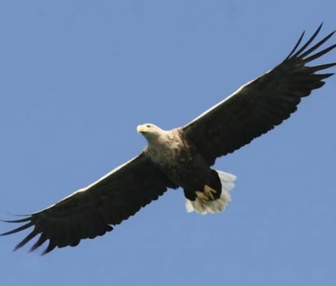 Ytterviks Rorbu Lofoten Welcome 欢迎 House in Lofoten