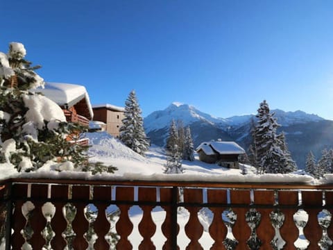 Appartement spacieux, terrasse plein sud, proche pistes et commerces - FR-1-398-508 Chalet in Montvalezan