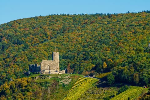 Nearby landmark, Restaurant/places to eat, Autumn, Landmark view