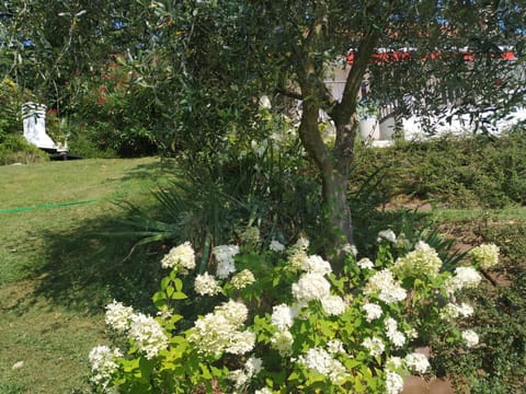 Casa Fellini House in Lake Garda