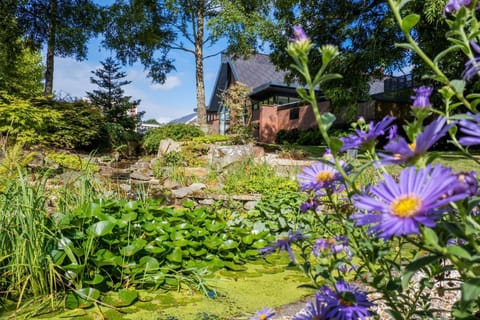 Property building, Garden, Garden view