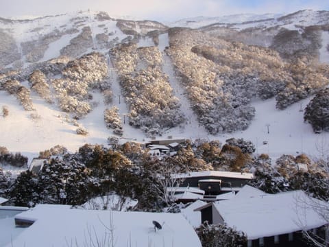 Kasees Apartments & Mountain Lodge Natur-Lodge in Thredbo
