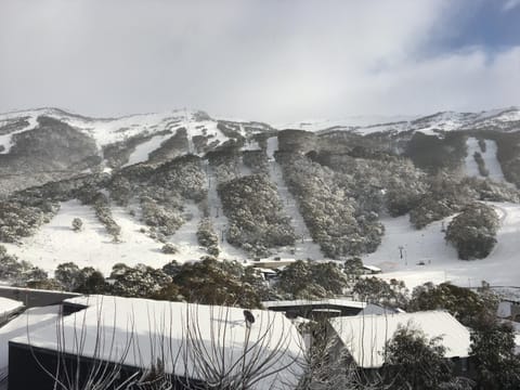 Kasees Apartments & Mountain Lodge Lodge nature in Thredbo