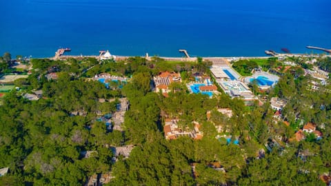 Natural landscape, Bird's eye view, Beach