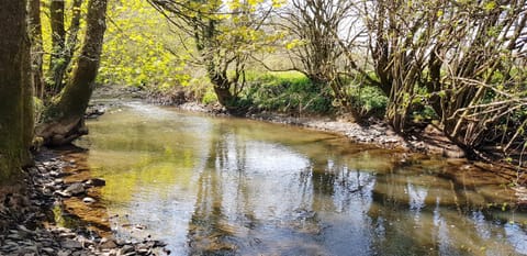 Natural landscape, River view