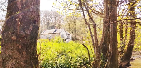 Natural landscape, Garden, River view