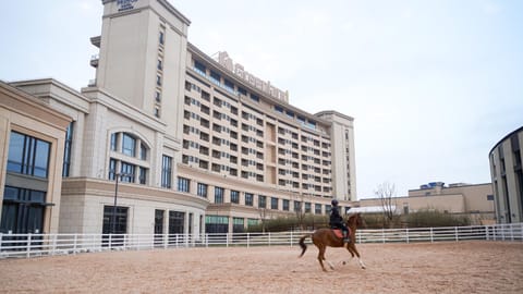 Horse-riding