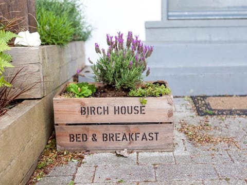 Birch House Bed & Breakfast Übernachtung mit Frühstück in Weymouth