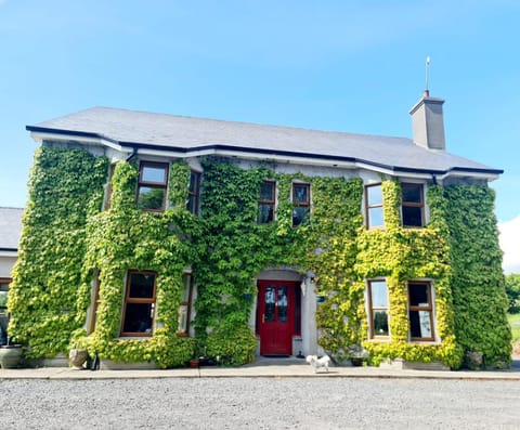 Property building, Garden view