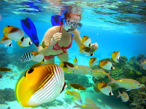 Snorkeling, Beach, Kids's club