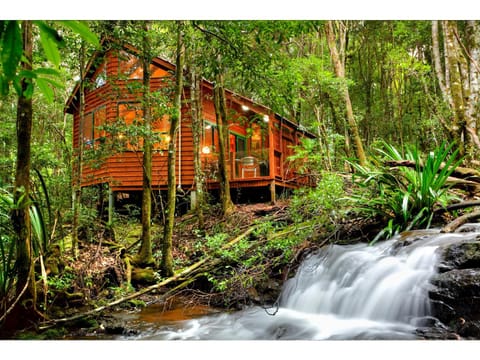 The Mouses House Rainforest Retreat Lodge nature in Springbrook