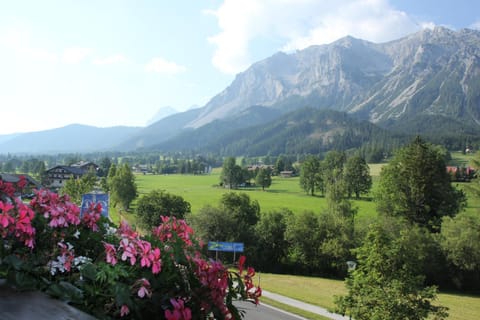 Balcony/Terrace, Mountain view