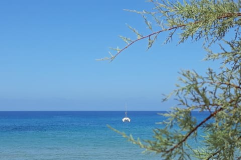 Beach, Sea view