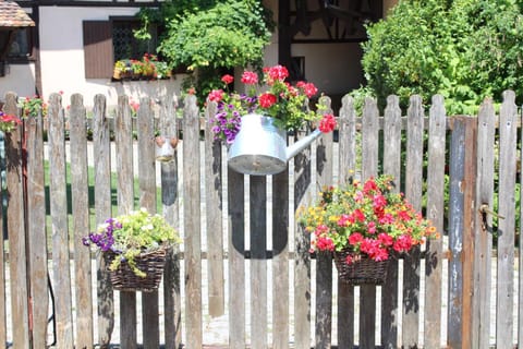 B&B La Tête dans les Etoiles Bed and Breakfast in Ortenau