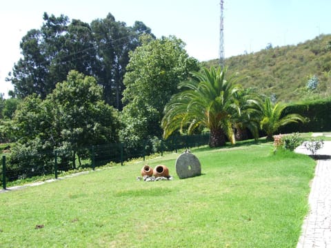 Natural landscape, Garden view