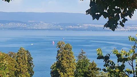 Appartement Cozy 2 Panoramique Lac Léman Thonon-Les-Bains Apartment in Thonon-les-Bains