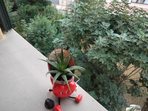 Property building, Garden view