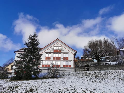 Facade/entrance, Winter, Garden