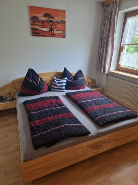 Haus Silvia Kraml Bed and Breakfast in Schladming