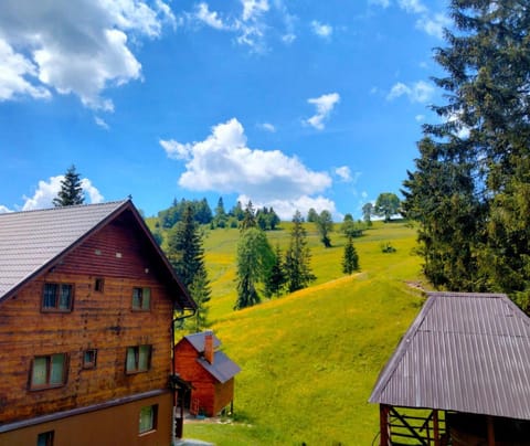 Cabana Sânziana Campground/ 
RV Resort in Cluj County