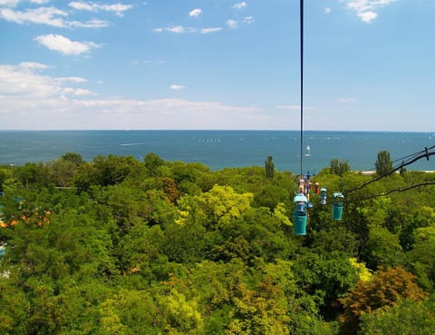 Day, Natural landscape, Bird's eye view, Sea view