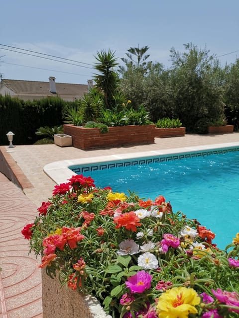 Pool view, Swimming pool