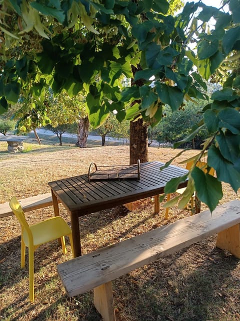 Garden, Dining area