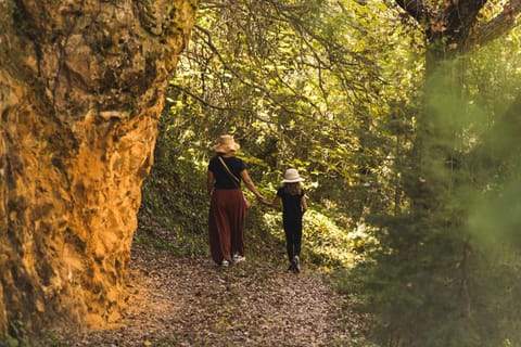 Natural landscape, Hiking