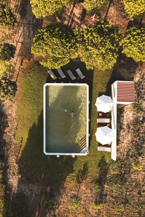 Natural landscape, Bird's eye view, Garden, Swimming pool, sunbed