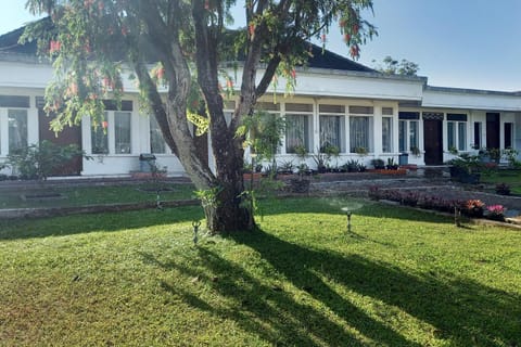 Garden, Garden view