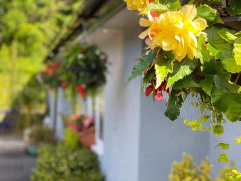 The Usk Guest House Pousada com café da manhã (B&B) in Talybont-on-Usk