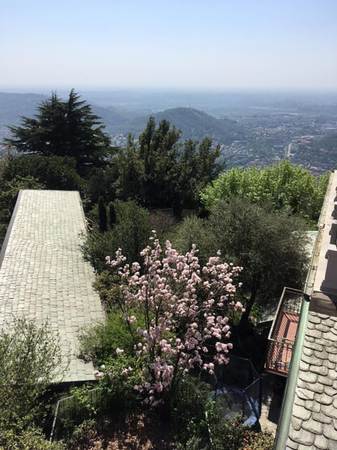 Spring, Garden view