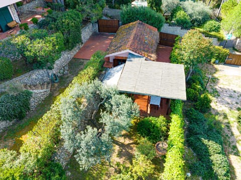 Natural landscape, Bird's eye view, Garden view