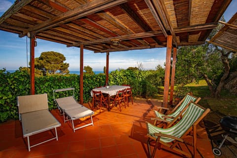 Patio, View (from property/room), Balcony/Terrace, sunbed