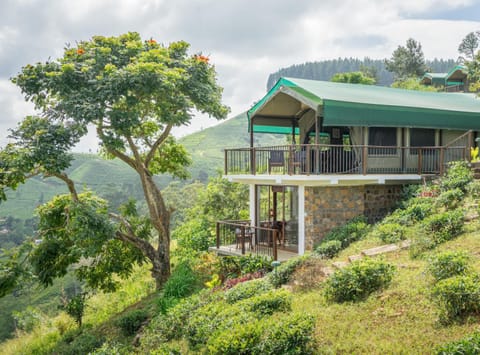 Madulkelle Tea and Eco Lodge Resort in Central Province