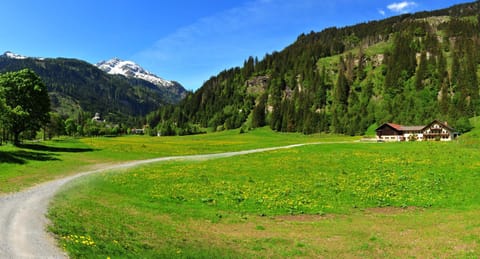 Property building, Natural landscape