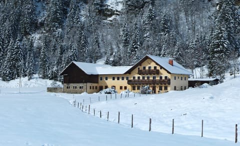 Property building, Winter