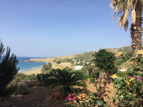 Garden, Garden view, Sea view