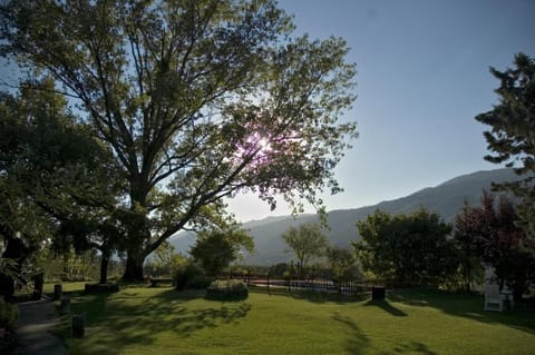 Spring, Day, Garden, Garden view