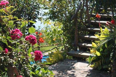 Calhau Grande Bed and breakfast in Madeira District