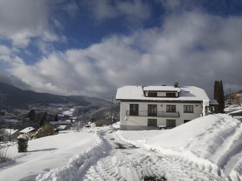 Property building, Winter, View (from property/room), Landmark view, Mountain view, Mountain view, Quiet street view