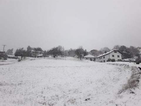 Natural landscape, Winter, On site, Garden view, Mountain view
