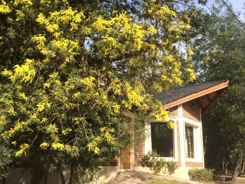 Ventania Altos Chalet in Villa Ventana