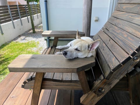 Garden, Balcony/Terrace, Pets