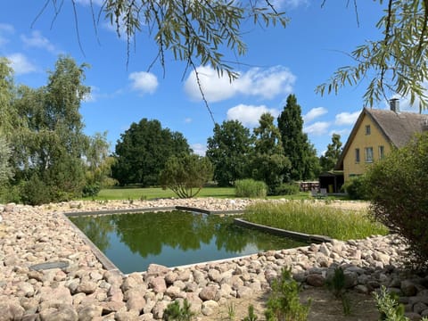 Property building, Garden, Garden view, Swimming pool