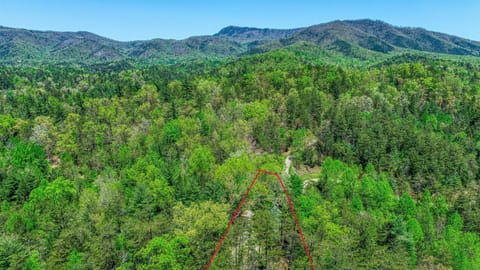 Bear Pause Cabin House in Sevier County