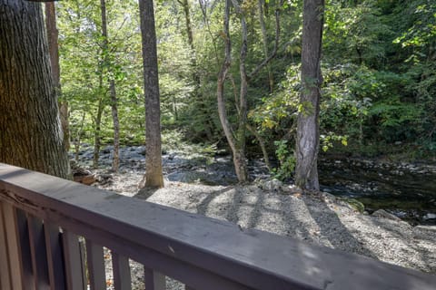 Wandering Creek Cabin House in Cosby