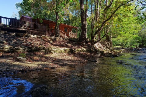 Wandering Creek Cabin Casa in Cosby