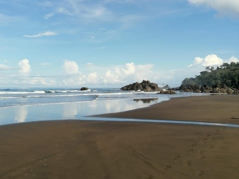 Natural landscape, Beach