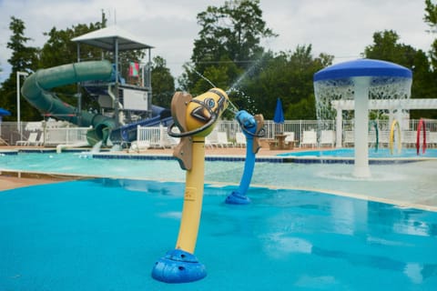 Aqua park, Swimming pool